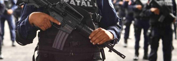 Guardia Estatal, Tamaulipas