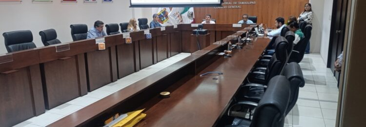 Instituto Electoral de Tamaulipas (IETAM)