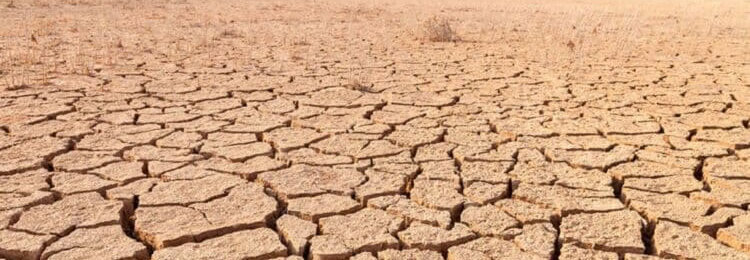 Estrategia Estatal de Cambio Climático