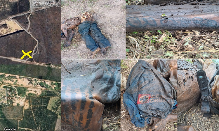 Colectivo Amor por los desaparecidos en Tamaulipas