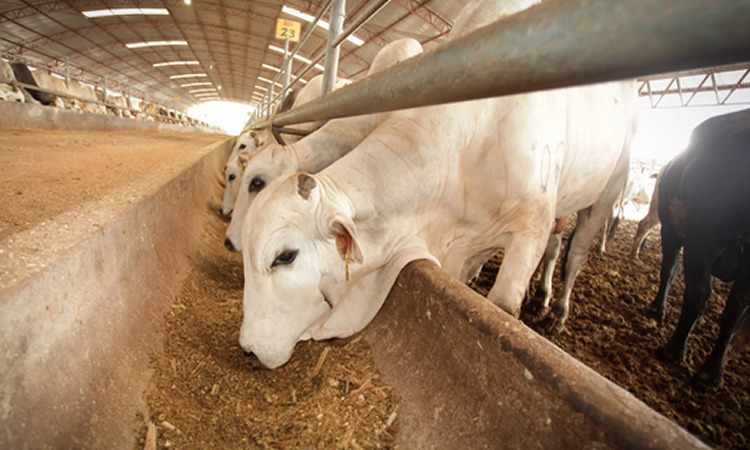 Secretaría de Desarrollo Rural, Pesca y Acuacultura