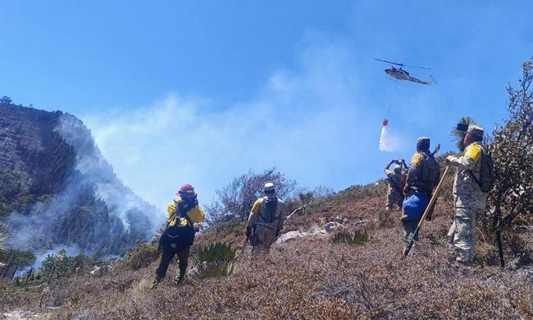 Centro Estatal de Manejo del Fuego (CEMF)