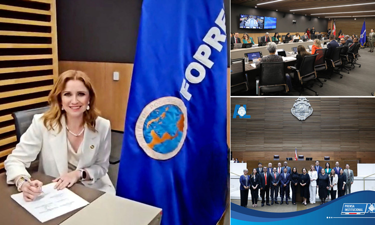 Imelda Sanniguel, Senadora, PAN, Tamaulipas