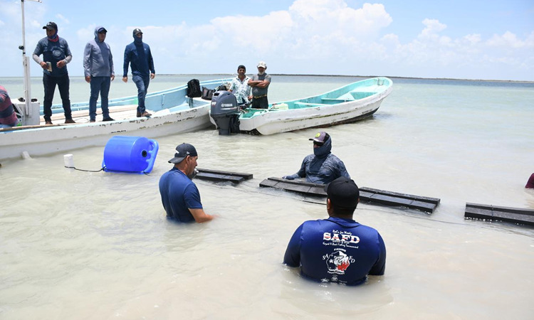 Secretaría de Desarrollo Rural, Pesca y Acuacultura