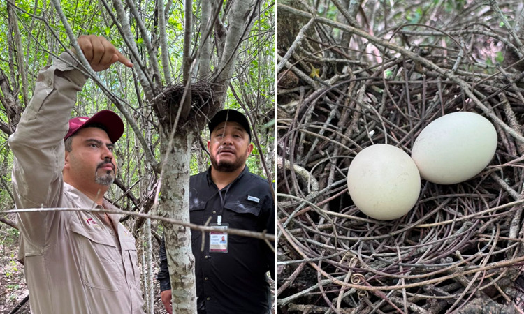 Secretaría de Desarrollo Rural, Pesca y Acuacultura