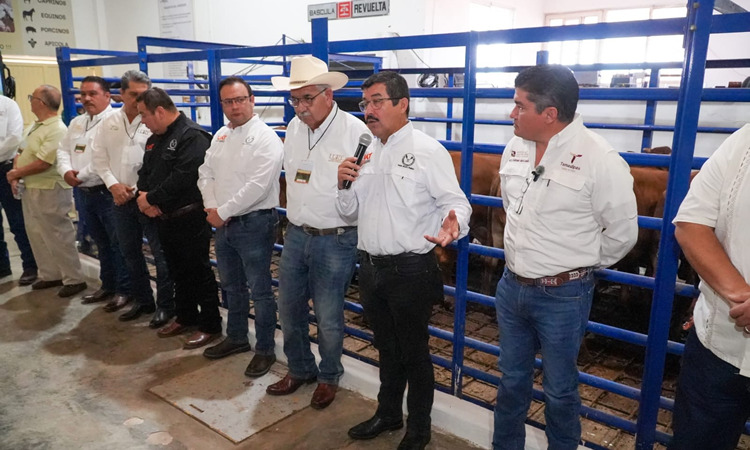 UAT, Universidad Autónoma de Tamaulipas
