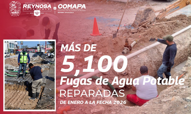 Comapa Reynosa