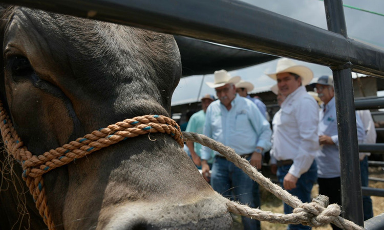 Secretaría de Desarrollo Rural, Pesca y Acuacultura
