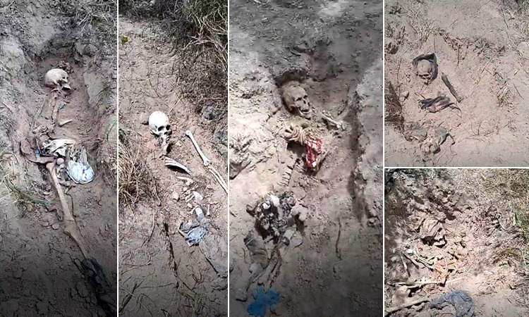 Colectivo Amor por los desaparecidos en Tamaulipas, inseguridad, violencia, Reynosa
