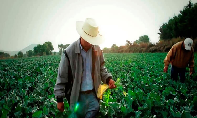 Secretaría de Desarrollo Rural, Pesca y Acuacultura