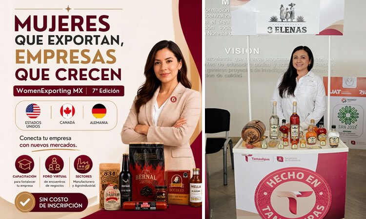 Secretaría de Desarrollo Económico, Tamaulipas