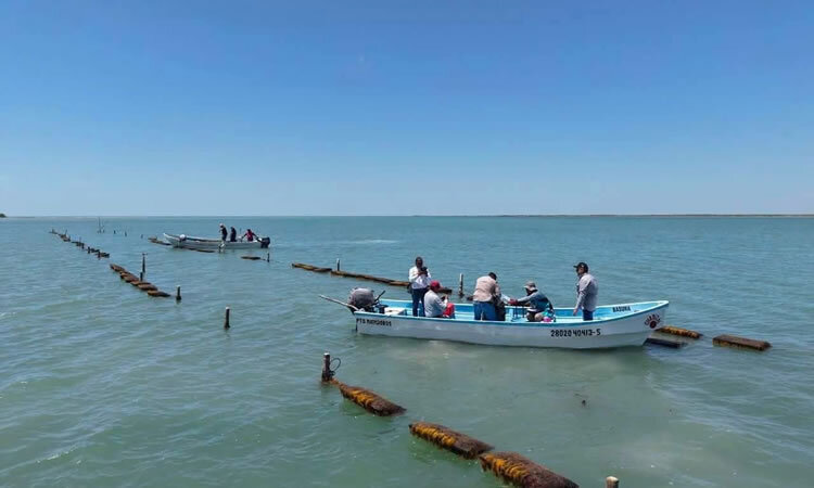 Secretaría de Desarrollo Rural, Pesca y Acuacultura