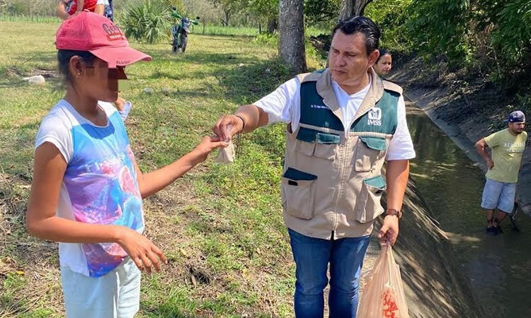 IMSS, Tamaulipas
