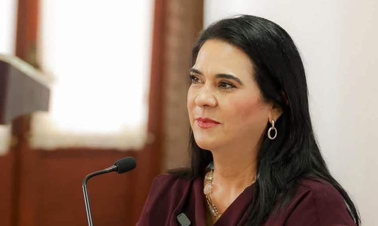Mónica Villarreal Anaya, Gobierno de Tampico