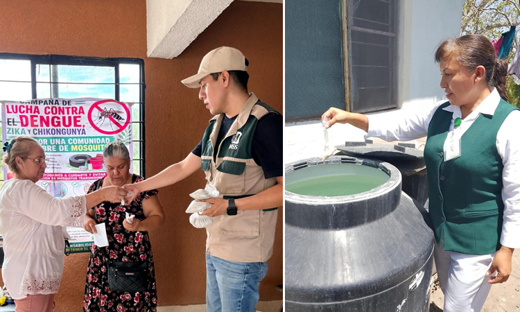 IMSS, Tamaulipas