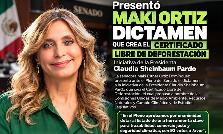 Maki Ortiz Domínguez, Partido Verde Ecologista de México, PVEM, Tamaulipas
