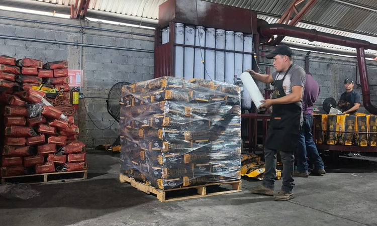 Secretaría de Desarrollo Económico, Tamaulipas